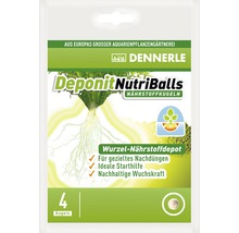 Dennerle Deponit NutriBalls 4 pièces-thumb-0
