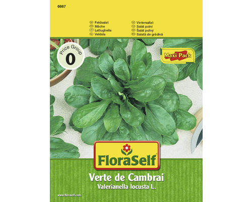 Mâche 'Verte de Cambrai' FloraSelf semences de salade lot promotionnel semences non-hybrides-0