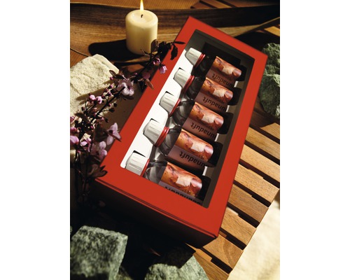 Coffret cadeau pour sauna 5 parfums de 100 ml chacun