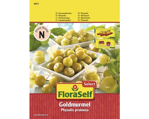 Physalis 'Goldmurmel' FloraSelf Select samenfestes Saatgut Gemüsesamen-0