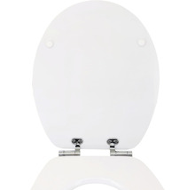 Toilettendeckel aus Kunststoff mit Scharnieren