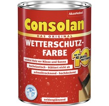Boîte de peinture de protection contre les intempéries Consolan pour l''extérieur
