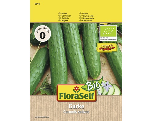 Concombre bio 'Marketmore' FloraSelf Bio semences non-hybrides semences de légumes