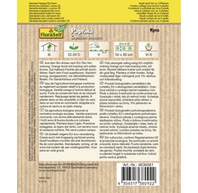 Paquet de graines de paprika Capsicum annuum