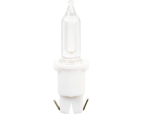 Lampe en verre avec culot enfichable