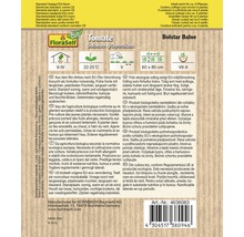 Paquet de graines de tomates Bolstar Baloe