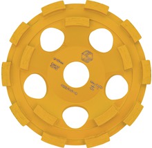 Plateau de ponçage diamant Eibenstock Ø 125x22.22 mm mortier