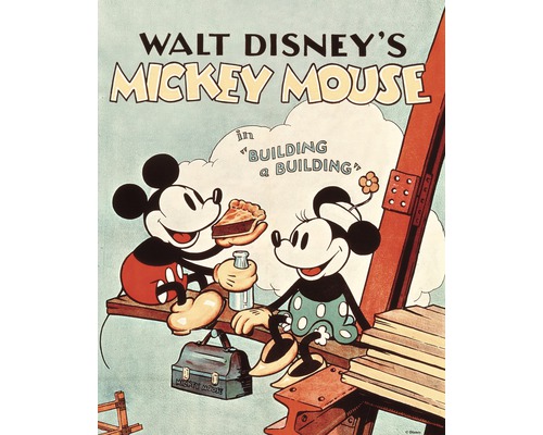 Tableau sur toile Disney Mickey Mouse in Building a Building 40x50 cm