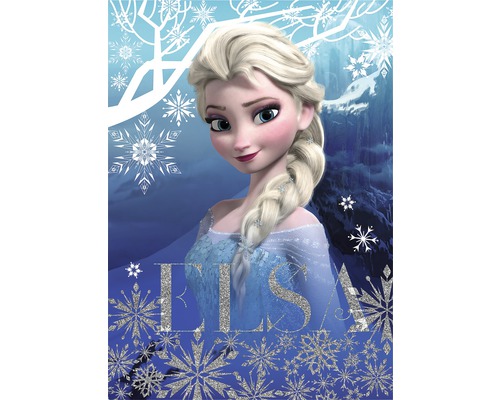 Leinwandbild Disney Frozen HORNBACH - Luxemburg 50x70 Glitzer Elsa cm