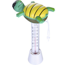 Thermomètre de piscine en forme de tortue avec échelle de température