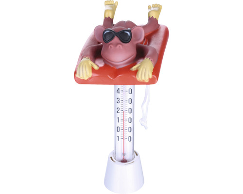 Thermomètre de piscine avec figurine de singe sur un matelas pneumatique
