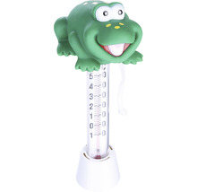 Thermomètre de bain grenouille pour mesurer la température