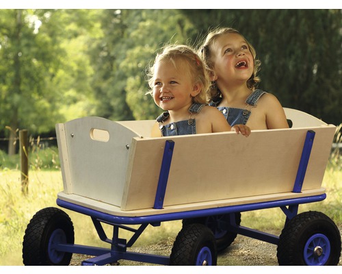 Zwei Kinder sitzen in einem Bollerwagen mit Holzaufbau und blauem Metallgestell.