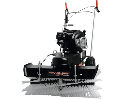 Kehrmaschine mit Motor und Bürstenwalze