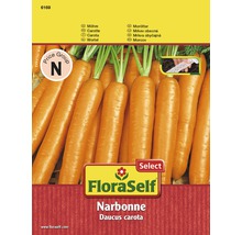 Ruban de graines de carottes 'Narbonne'-thumb-0