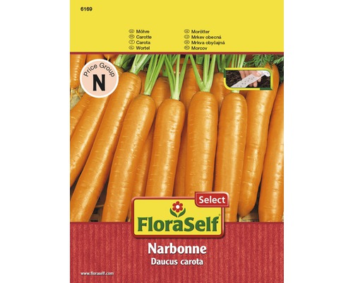 Ruban de graines de carottes 'Narbonne'