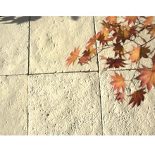 Dalle de terrasse en béton Richelieu Champagne 40 cm x 40 cm x 3 cm