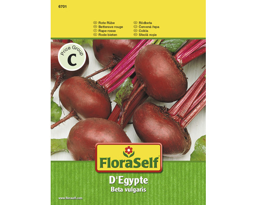 Betterave rouge 'D'Egypte' FloraSelf semences non-hybrides semences de légumes