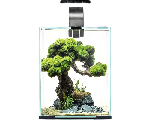 Aquarium Aquael Shrimp Set Day & Night 10 avec éclairage LED, filtre, chauffage, sans meuble bas noir env. 10 l, env. 20 x 20 x 25 cm avec ampoule hauteur env. 35 cm Aquarium avec plantes aquatiques, bois flotté et éclairage