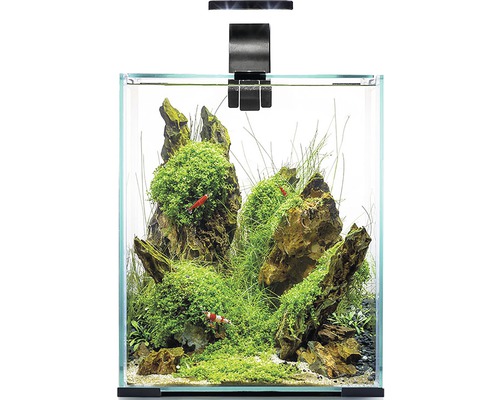 Aquarium aquatlantis Nano Cubic 30 mit Frostglasrückseite, LED-Beleuchtung,  Filter, Heizer, Pumpe weiß (ohne Schrank) - HORNBACH Luxemburg
