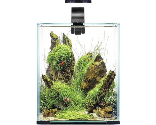 Aquarium Aquael Shrimp Set Day & Night 20 avec éclairage LED, filtre, chauffage, sans meuble bas noir Aquarium Aquael Shrimp Set Day & Night 20 avec éclairage LED, filtre, chauffage, sans meuble bas noir