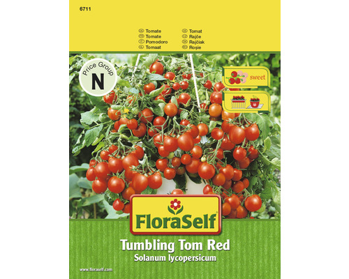 Tomate 'Tumbling Tom Red' FloraSelf semences non-hybrides semences de légumes
