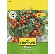 Graines de tomate 'Vilma, F1' FloraSelf