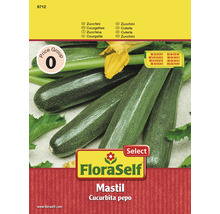 Courgette 'Mastil' FloraSelf semences de légumes hybrides F1-thumb-0