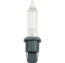 Ampoule claire pour guirlande lumineuse