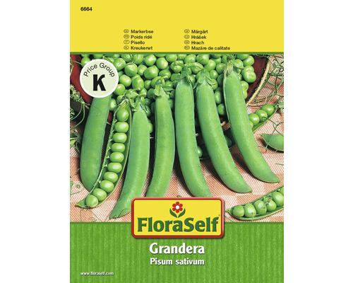 Petits pois 'Grandera' FloraSelf semences non-hybrides semences de légumes