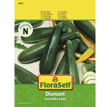 Paquet de graines de courgettes FloraSelf Diamant