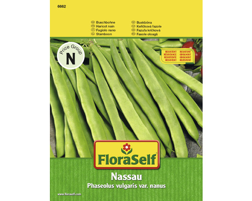 Buschbohnen 'Nassau' FloraSelf samenfestes Saatgut Gemüsesamen