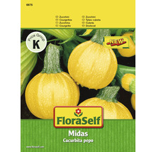 FloraSelf Midas Kürbis Samenpackung