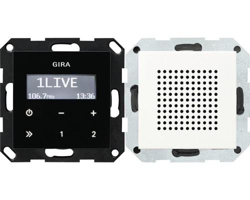 Radio insert Gira Standard 55 Event Event Opak blanc pur brillant
