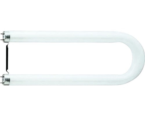 Ampoule fluorescente Philips Master forme en U G13, 36 watts, blanc neutre
