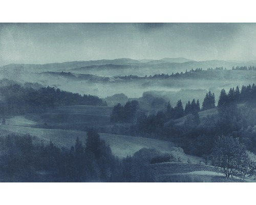 Papier peint panoramique intissé P010-VD4 Pure Twilight 4 pces 400 x 250 cm Paysage avec montagnes et arbres dans le brouillard