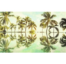 Illustration avec des palmiers et leur reflet