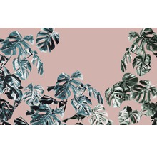 Motif de feuilles de Monstera