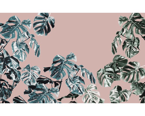 Papier peint panoramique intissé P016-VD4 Pure Monstera Rosé 4 pces 400 x 250 cm Motif de feuilles de Monstera