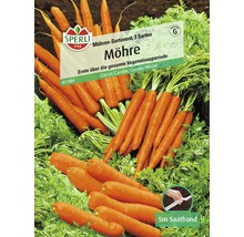Assortiment de carottes avec ruban de semences, 5 mètres
