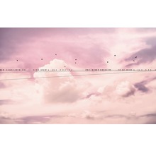 Fototapete Vlies P017-VD4 Pure Cloud Wire 4-tlg. 400 x 250 cm