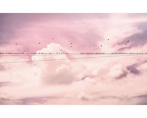 Papier peint panoramique intissé P017-VD4 Pure Cloud Wire 4 pces 400 x 250 cm Une rangée d''oiseaux est perchée sur une ligne électrique devant un ciel nuageux.