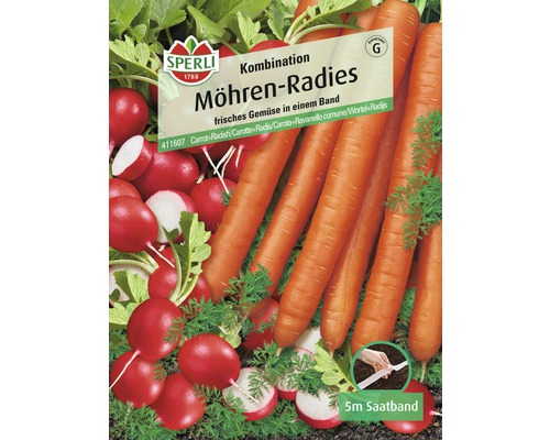 Association carottes-radis Sperli ruban de graines de légumes