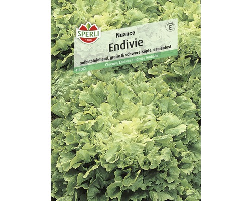 Semence de salade Endive « Nuance » Sperli