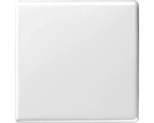 Bascule universelle bascule Gira Standard 55 Event Event Opak blanc pur brillant