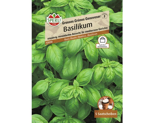 Basilic 'Grosses Grünes Genover' semences de fines herbes Sperli disque de semis Sperli Basilic Grand Vert Génois, sachet de graines