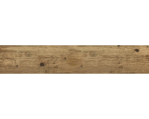 Carrelage pour mur et sol en grès cérame fin Limewood Retro chêne 23,3 x 120 cm