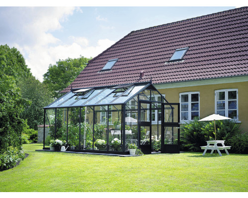 Gewächshaus aus Glas und Metall im Garten mit geöffneter Tür und Fenster