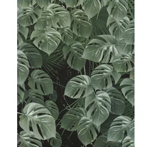 Représentation grand format de feuilles de Monstera comme motif