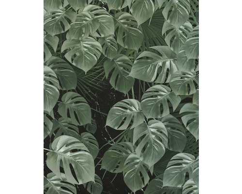 Fototapete Vlies P035-VD2 Monstera on Marble 2-tlg. 200 x 250 cm